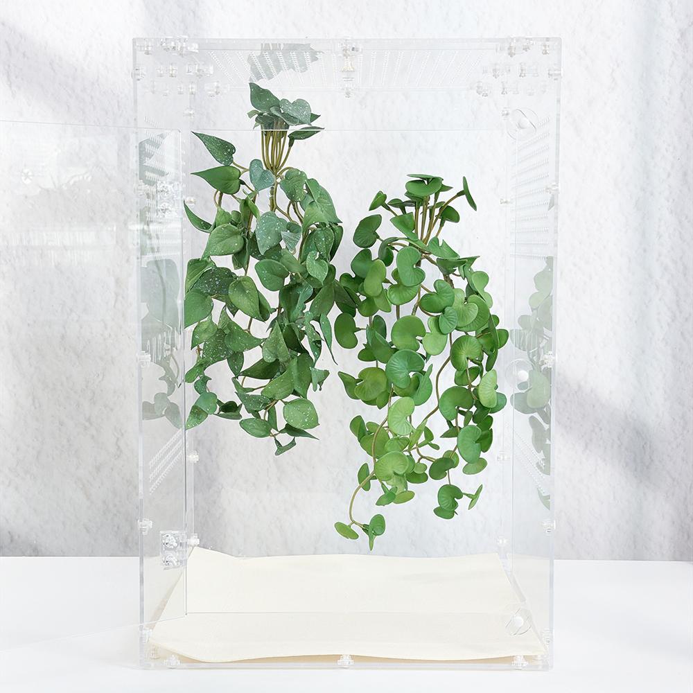 カリフ 壁飾り トカゲ 人工植物 隠れ家 トカゲ 飼育ケース 装飾 クレステッドゲッコー