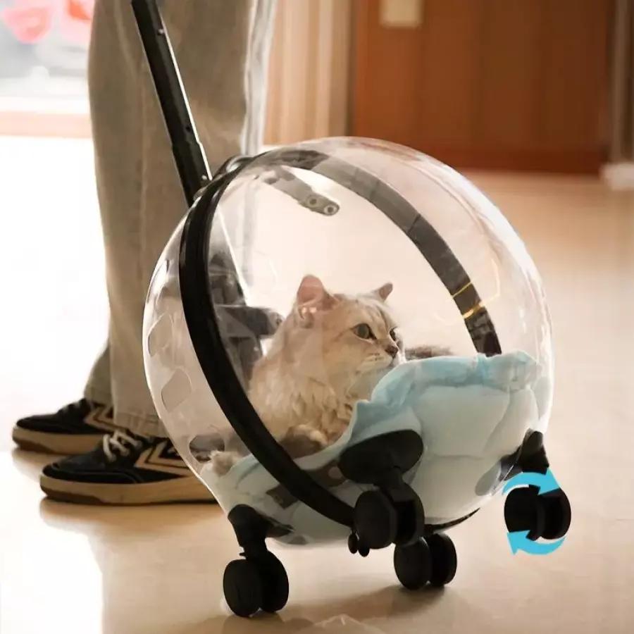 투명 이동장 펫캐리어 가방 강아지 외출 고양이