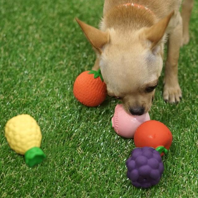 犬用おもちゃ 歯固め 無毒ゴムボール フルーツラテックストイ