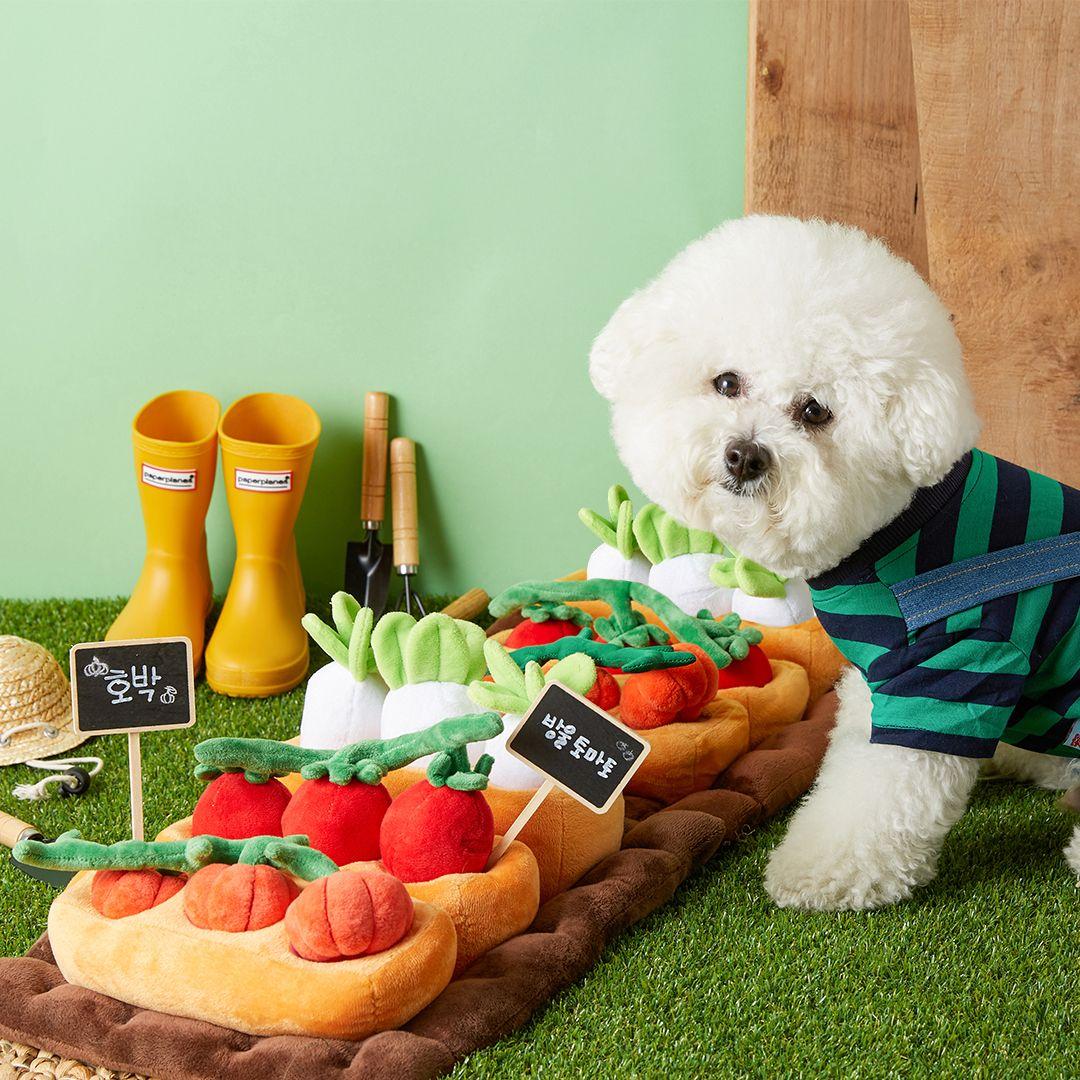 Pet Holic (펫홀릭) ノーズワーク 週末農場