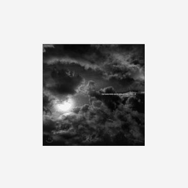 TAEYANG 2LP RISE+BEST COLLECTION Vinyl 限定盤 LP