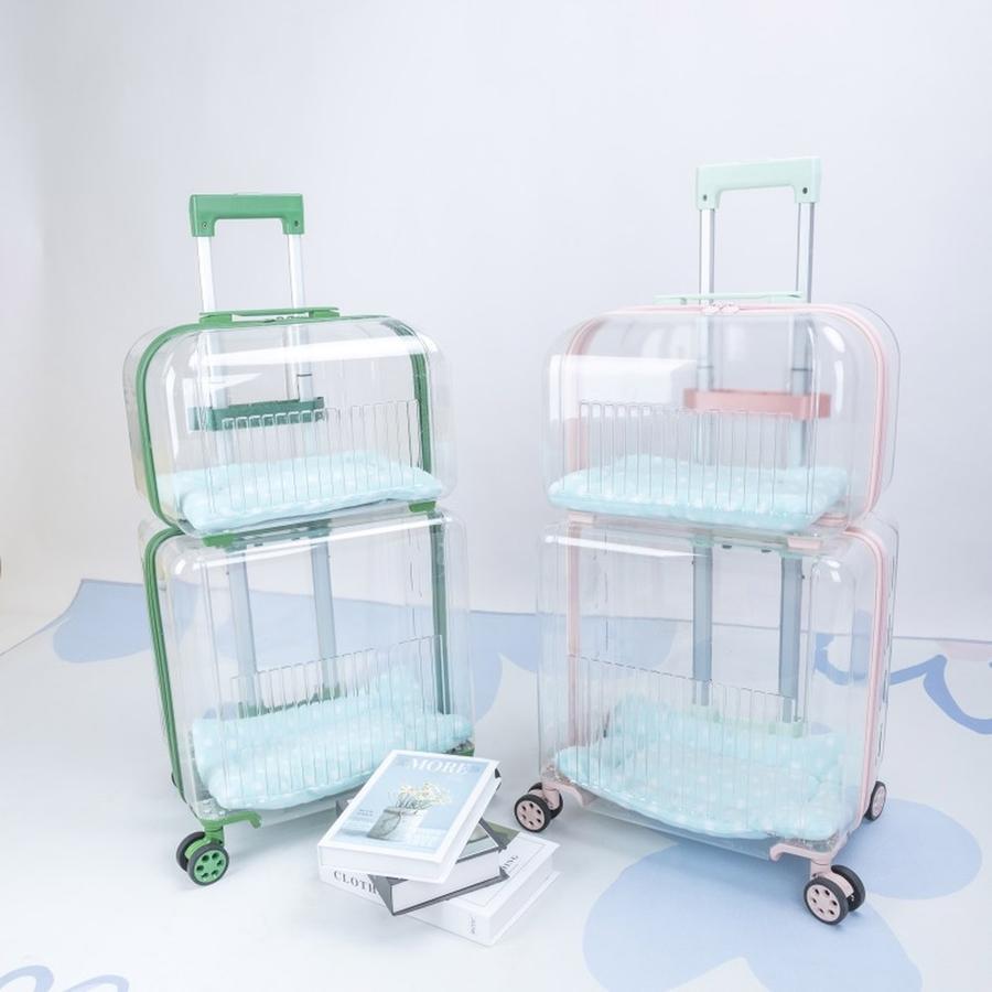 고양이 강아지 투명 캠핑캐리 배낭형 Pet Carrier 접이식 애완견 대형백팩