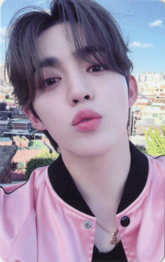 [에스쿱스/검정] 세븐틴 10주년 SEVENTEEN WEEKS 교보문고 특전 포토카드 포카