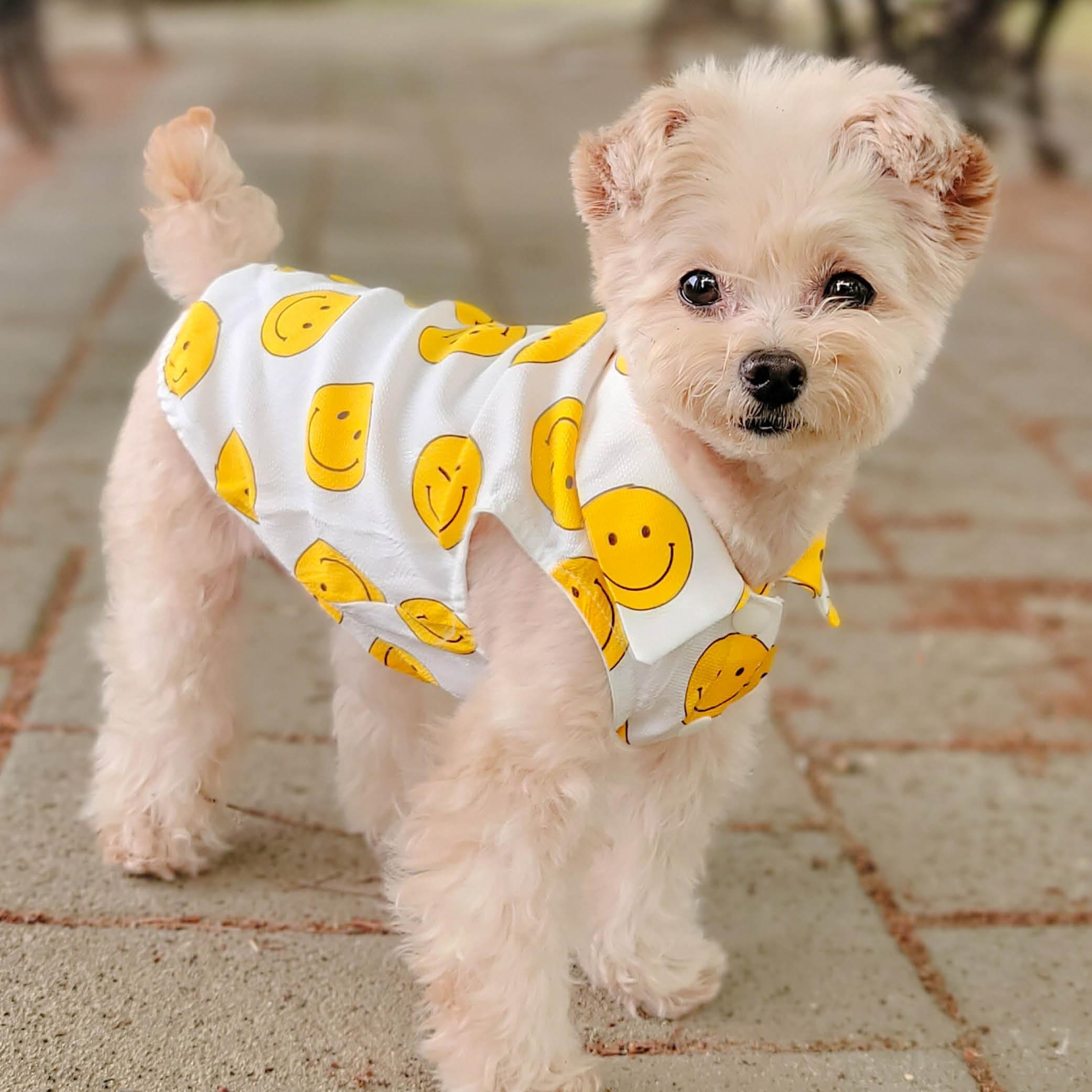 Lucien (루지앤) 犬服 インジェン (인견) タンクトップ ドッグウェア 室内着 スマイル ジェリービーン 夏Tシャツ