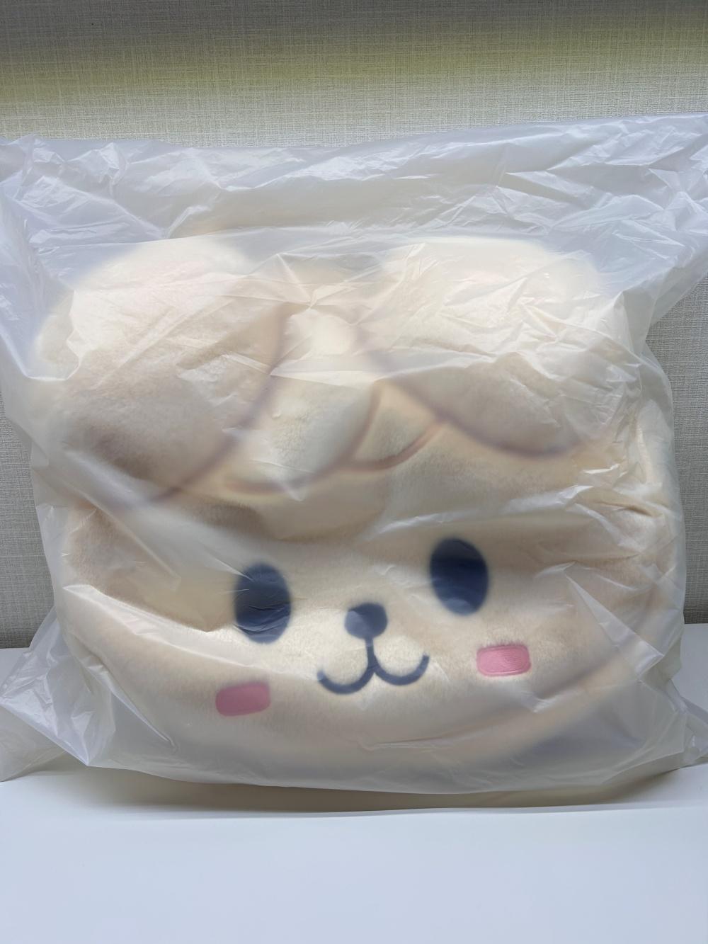 스트레이키즈 스키주 숄더백 SKZOO FACE BAG 승민 퍼핌 스키즈 팝업 굿즈
