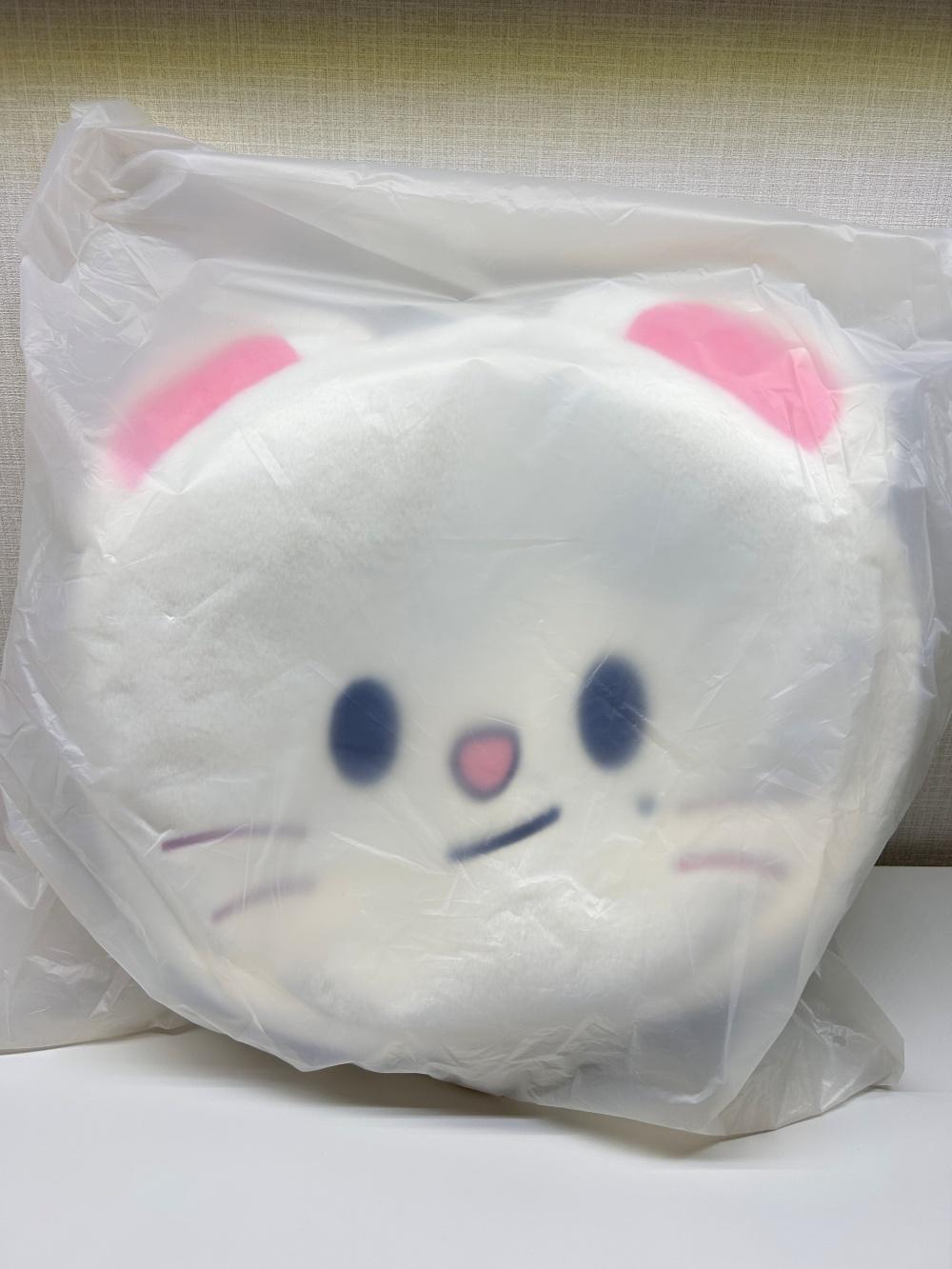 스트레이키즈 스키주 숄더백 SKZOO FACE BAG 현진 지니렛 스키즈 팝업 굿즈