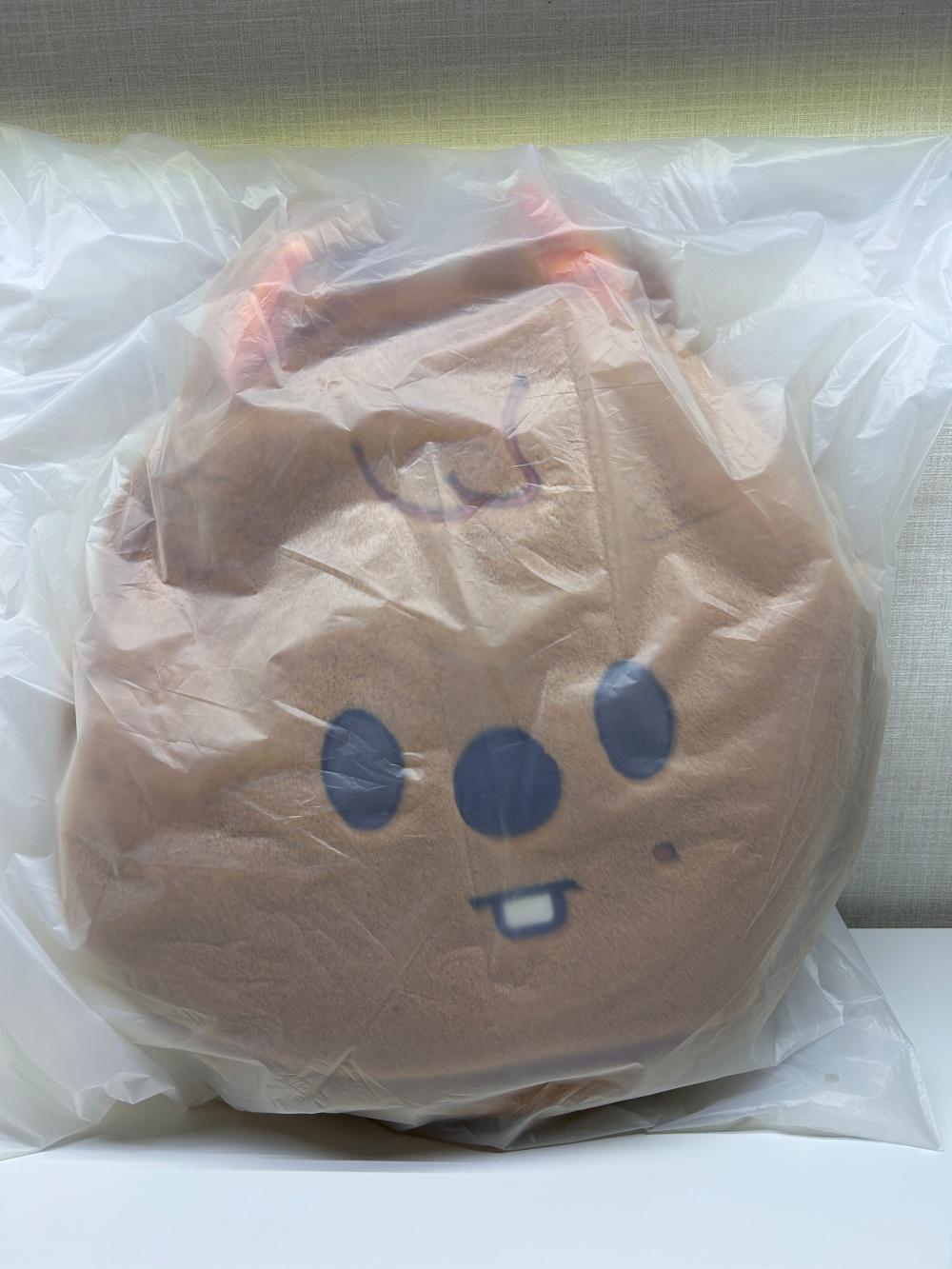 스트레이키즈 스키주 숄더백 SKZOO FACE BAG 한 한쿼카 스키즈 팝업 굿즈
