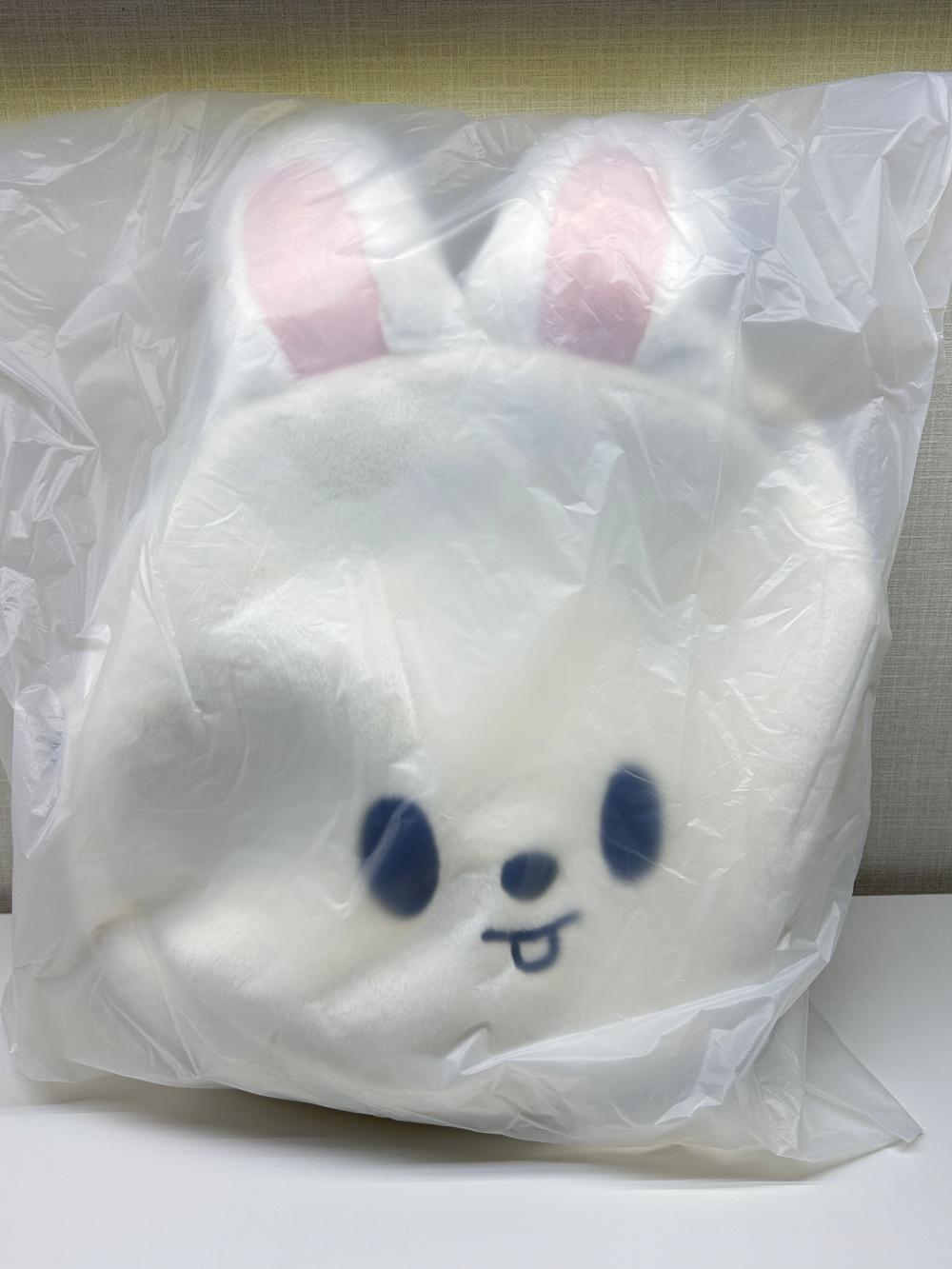 스트레이키즈 스키주 숄더백 SKZOO FACE BAG 리노 리빗 스키즈 팝업 굿즈