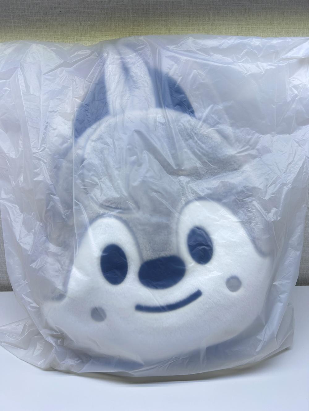 스트레이키즈 스키주 숄더백 SKZOO FACE BAG 방찬 울프찬 스키즈 팝업 굿즈