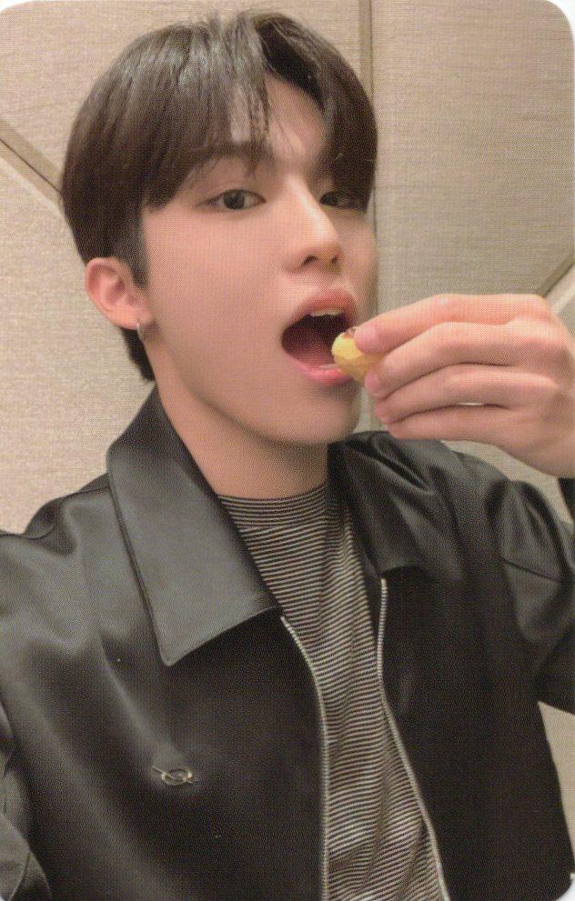 [박정우/마카오] 트레저 TREASURE REBOOT Ktown4u 特典 フォトカード