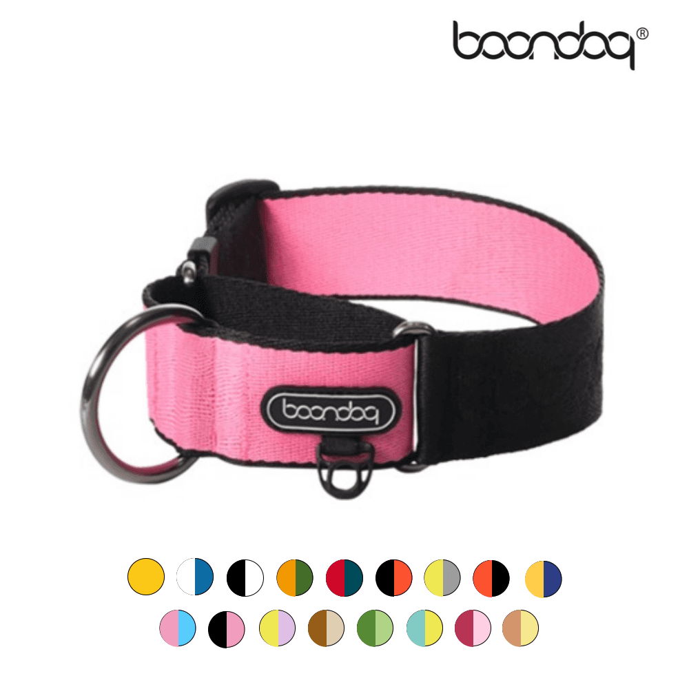 BUNDOK martingale wild 首輪 M 犬用散歩紐