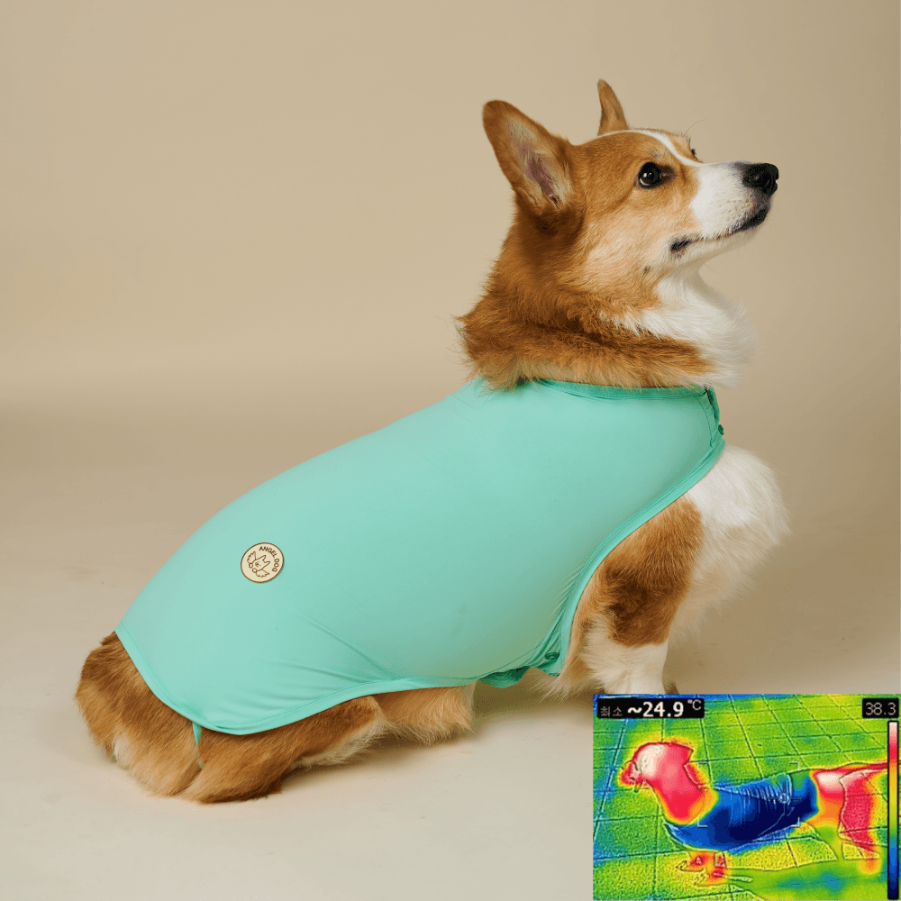 AngelDog クールベスト 犬用 日焼け止め 夏服 M