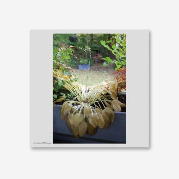 혁오 (LP) / 사랑으로 (LP YP0596)