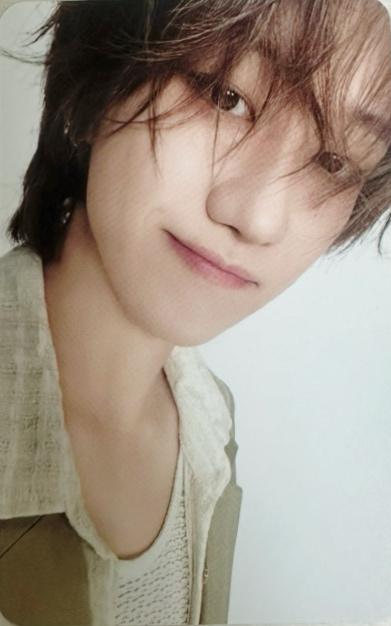 세븐틴 디에잇 2026 SEVENTEEN SEASONGREETING 시즌그리팅 포토카드