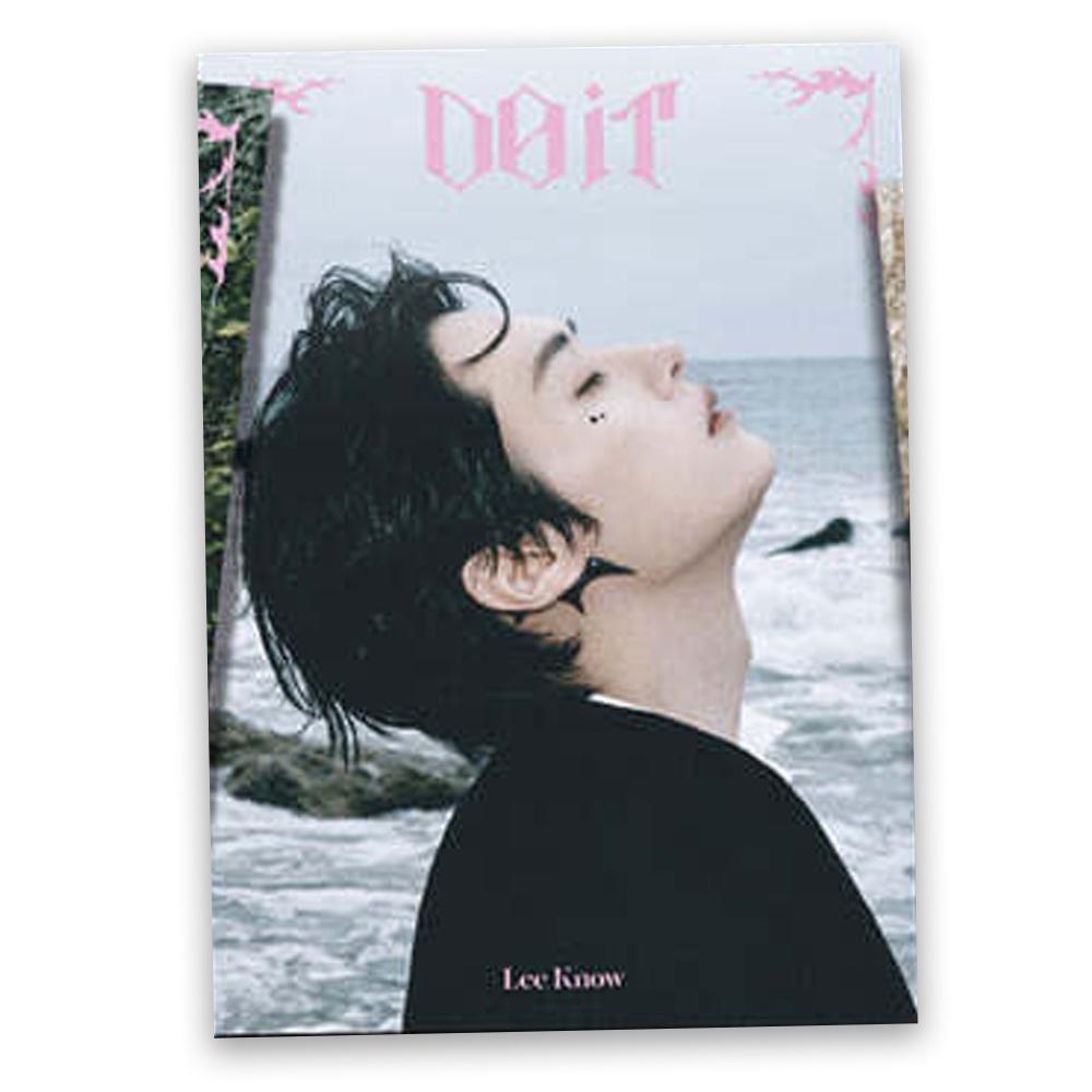 스트레이키즈 엘범 두잇 DO IT 아코디언 - 리노