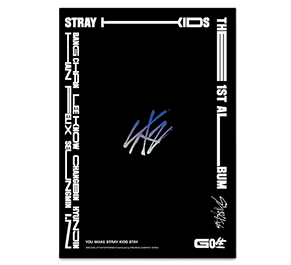 一般盤 CD Stray Kids GO生 1集正規 STRAY KIDS Go生 新メニュー BlueC