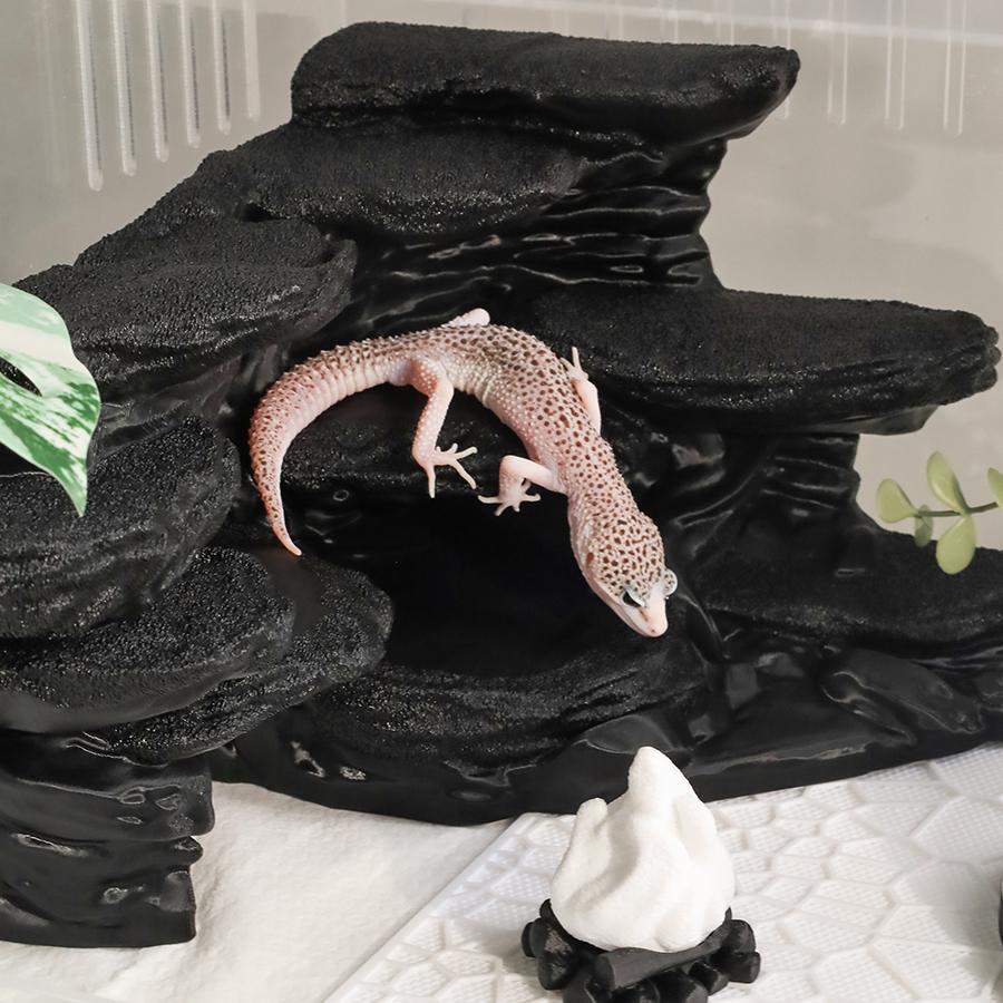 펫테일 (Pet Tale) ゲッコー (Gecko) 飼育ケージ ハムスター ビバリウム 丘 隠れ家 レイアウト ナメクジテール レオパルドゲッコー 大 ブラック