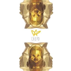 조피디(조PD) / In Stardom V3.0 (KTMCD0291)