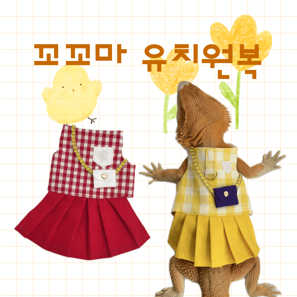 비어디드래곤 유치원복 도마뱀옷 파충류의류 코스튬 짱부띠끄