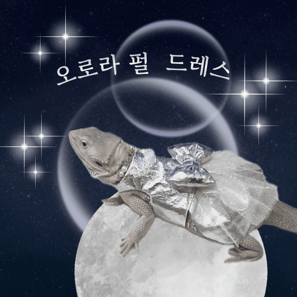 비어디드래곤 드레스 도마뱀옷 파충류의류 오로라펄드레스 짱부띠끄