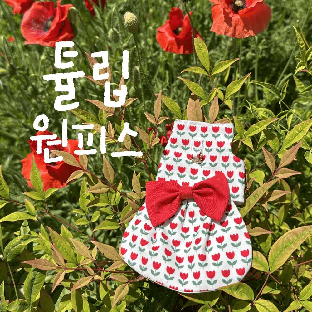 비어디드래곤 원피스 도마뱀옷 파충류의류 튤립원피스 짱부띠끄
