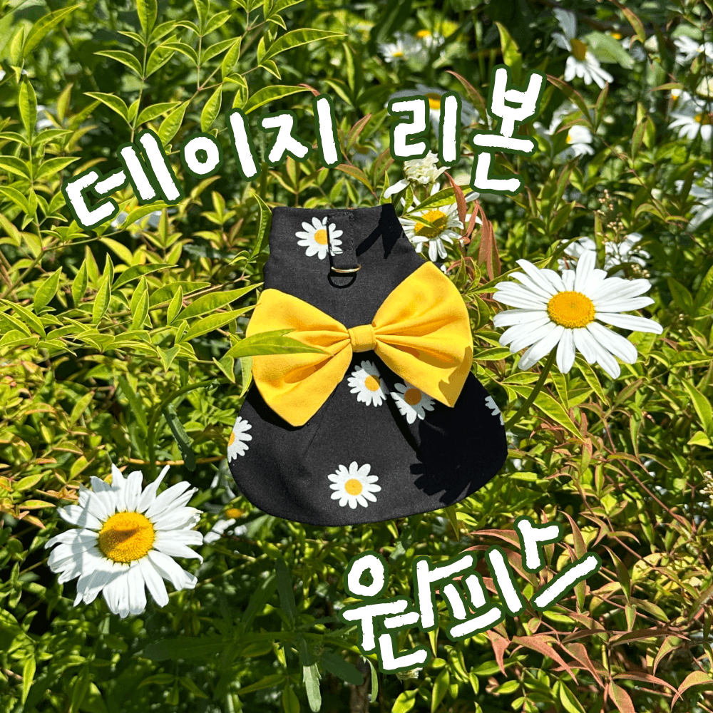 비어디드래곤 원피스 도마뱀옷 파충류의류 데이지 리본 원피스 짱부띠끄