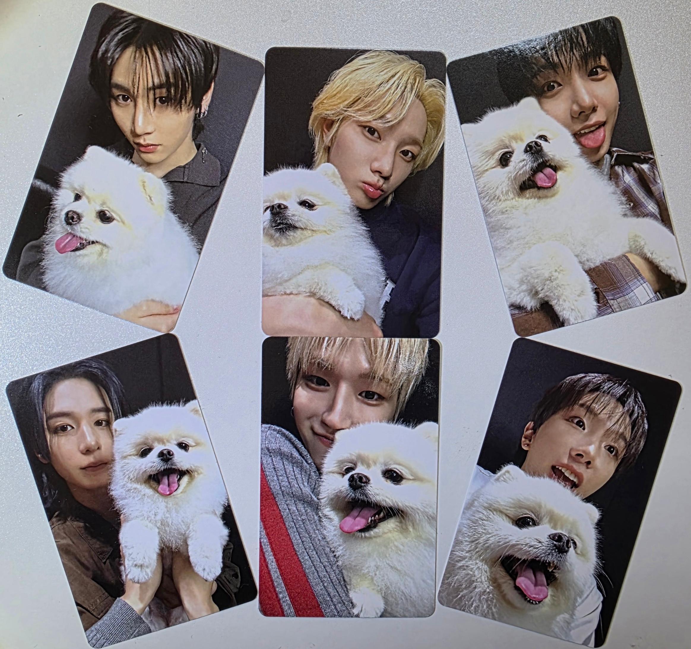 [個人構成] ボネクド HOME VIRAL 特典ポカ ジンポ BOYNEXTDOOR HOME VIRAL WEVERSE SHOP