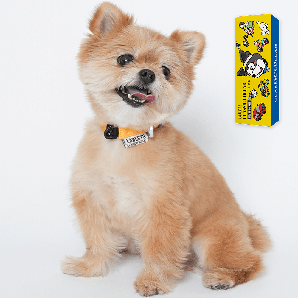 랩릿 犬用リード 小型犬 大型犬 S