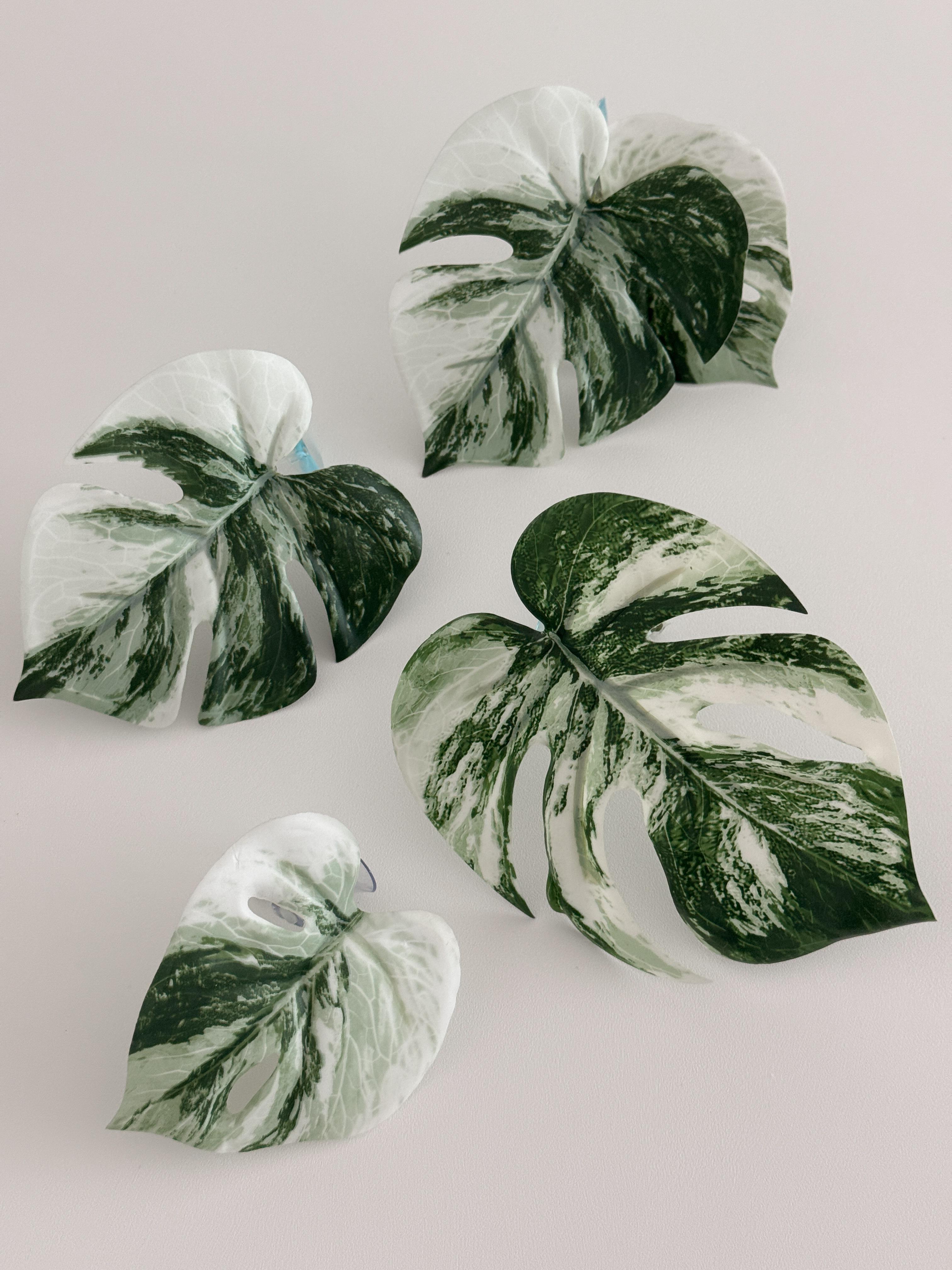 YaYaland モンステラ アルボ 人工観葉植物 (4type) バックアップ つる クレステッドゲッコー トカゲ 部屋の装飾
