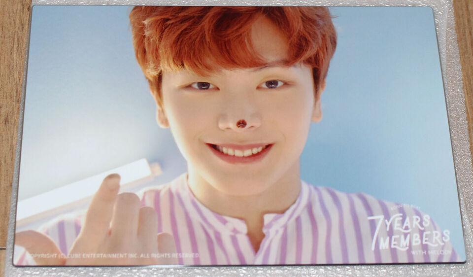 BTOB フレームフォト グッズ BTOB 7YEARS 7MEMBERS WITH MELODY OFFICIAL GOODS ソンジェ ALUMINIUM FRAME PHOTO