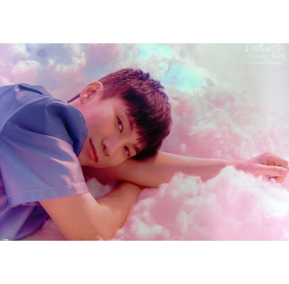 (ブロマイド1種+筒) BTOB ソ・ウングァン - FoRest Entrance B ポスター