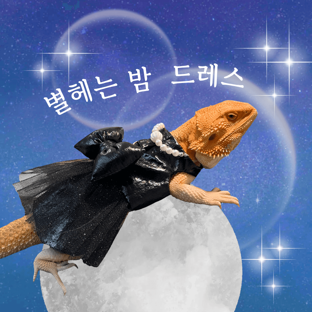 フトアゴヒゲトカゲドレス トカゲ服 爬虫類ウェア 星降る夜ドレス JANG BOUTIQUE
