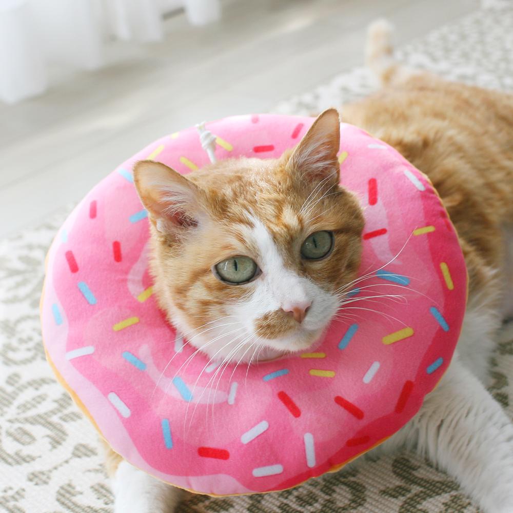 제트 猫 犬用ネックカラー 漏斗 UFO 首保護 넥쿠션 中性化クッション シュガードーナツxs