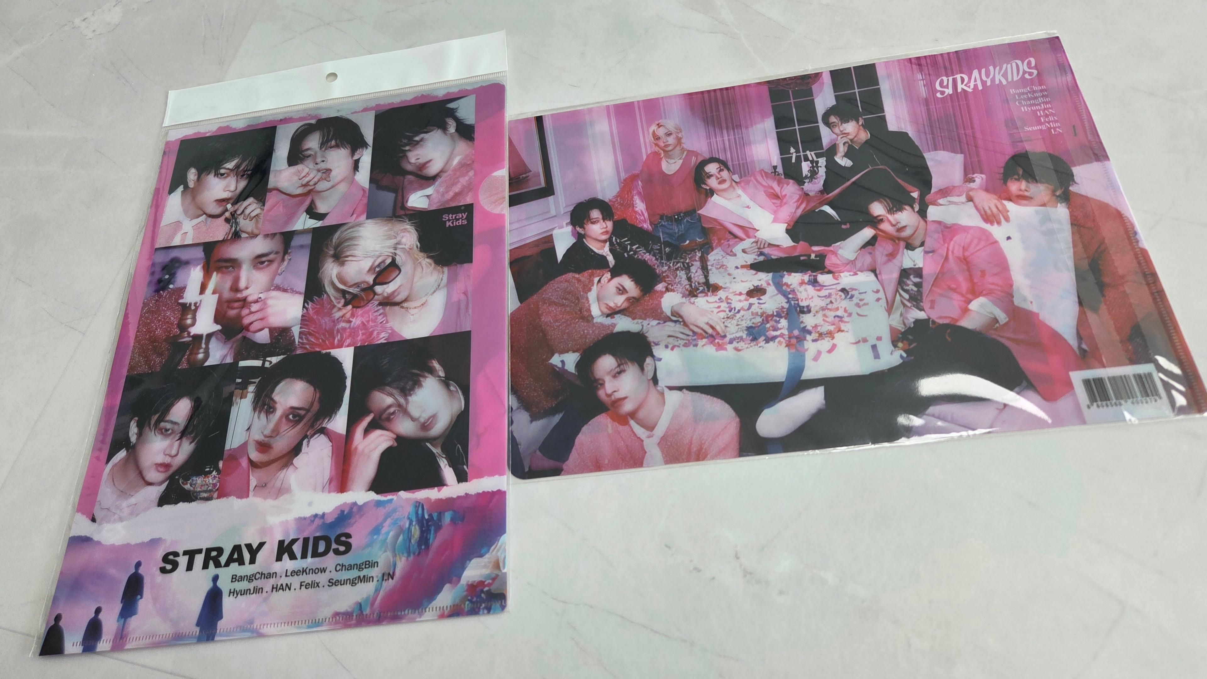 (STRAYKIDS) StrayKids グッズ ファイルホルダー A4サイズ