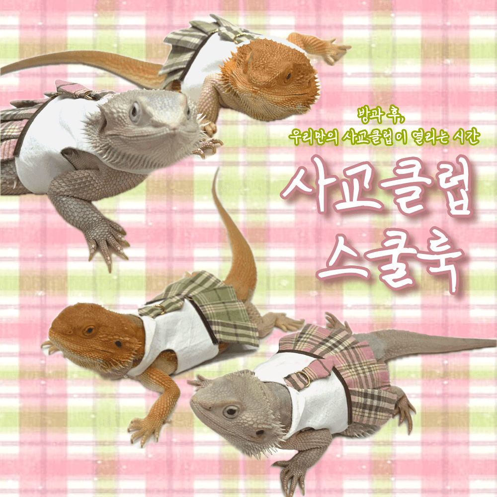 フトアゴヒゲトカゲ トカゲ服 爬虫類服 サークルクラブ スクールルック Jjang Boutique