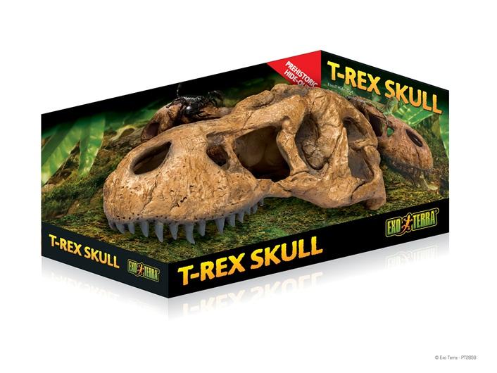 Exo Terra 恐竜の頭蓋骨 隠れ家 レオパードゲッコー デザートゲッコー 爬虫類 隠れ家 T-REX Skull