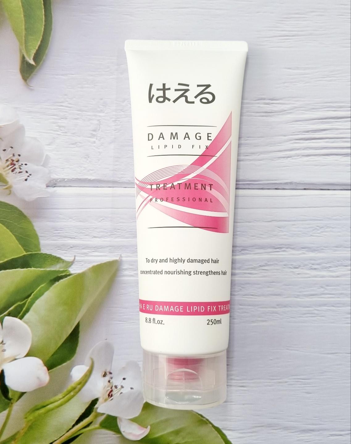ハエル 美容室 トリートメント 250ml 高栄養 極ダメージヘア 傷んだ乾燥ヘア タンパク質補修 ヘアパック クリニック
