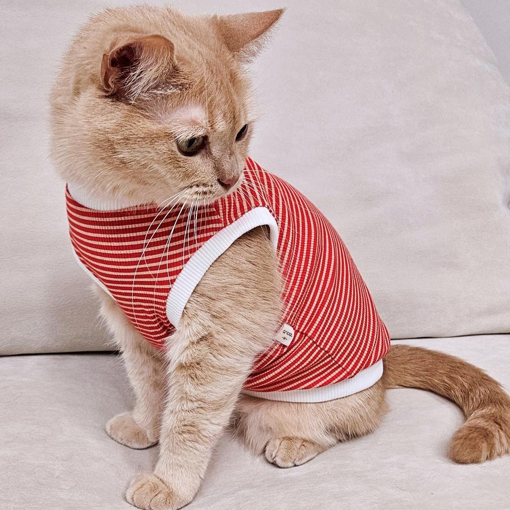 アリアキャット 猫服 夏用 薄手 ノースリーブ 丈選択 ミニリブ ストライプTシャツ