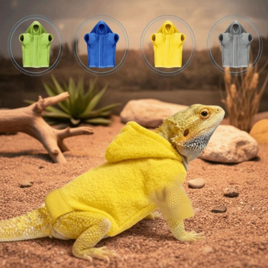 페럿 (Ferret) フードTシャツ (Hoodie) トカゲ用服 防風 単色 ビアードドラゴン ハーネス ベスト 撮影 パーティー用