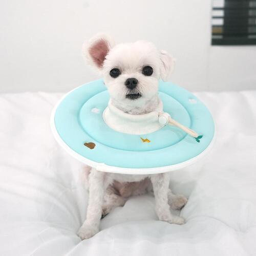 犬・猫用エリザベスカラー 中和手術用漏斗 傷保護 M