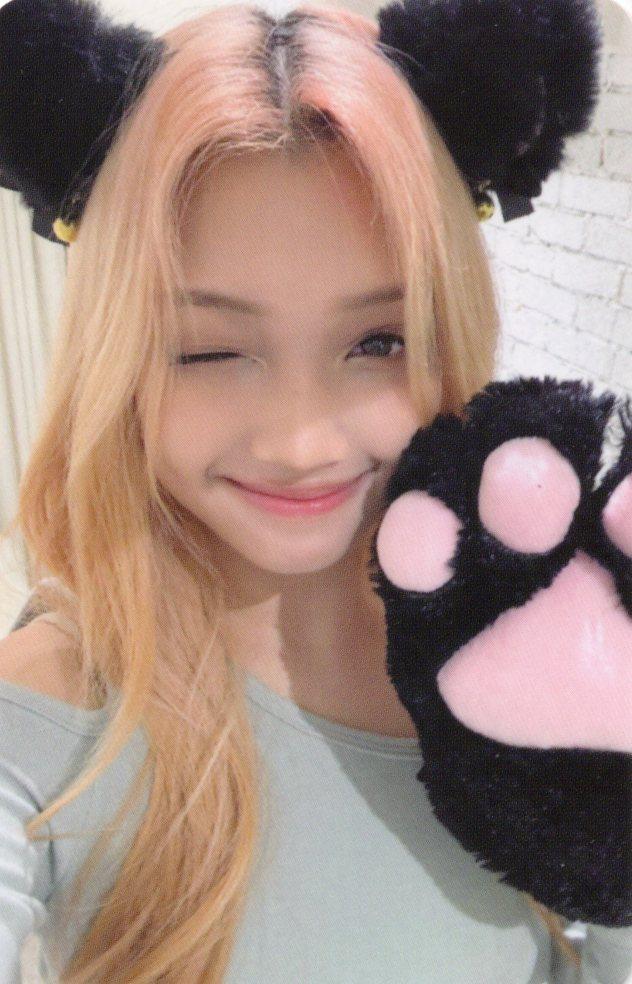 [젤리당카/위드뮤/고양이] UNIS (유니스) ラッキードロー ポトカード ポカ