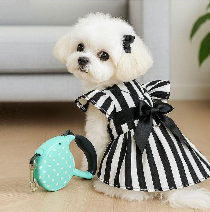 daycompany Dog One-piece Stripe Black Dress Spring Summer Sleeveless Pet Companion Clothes