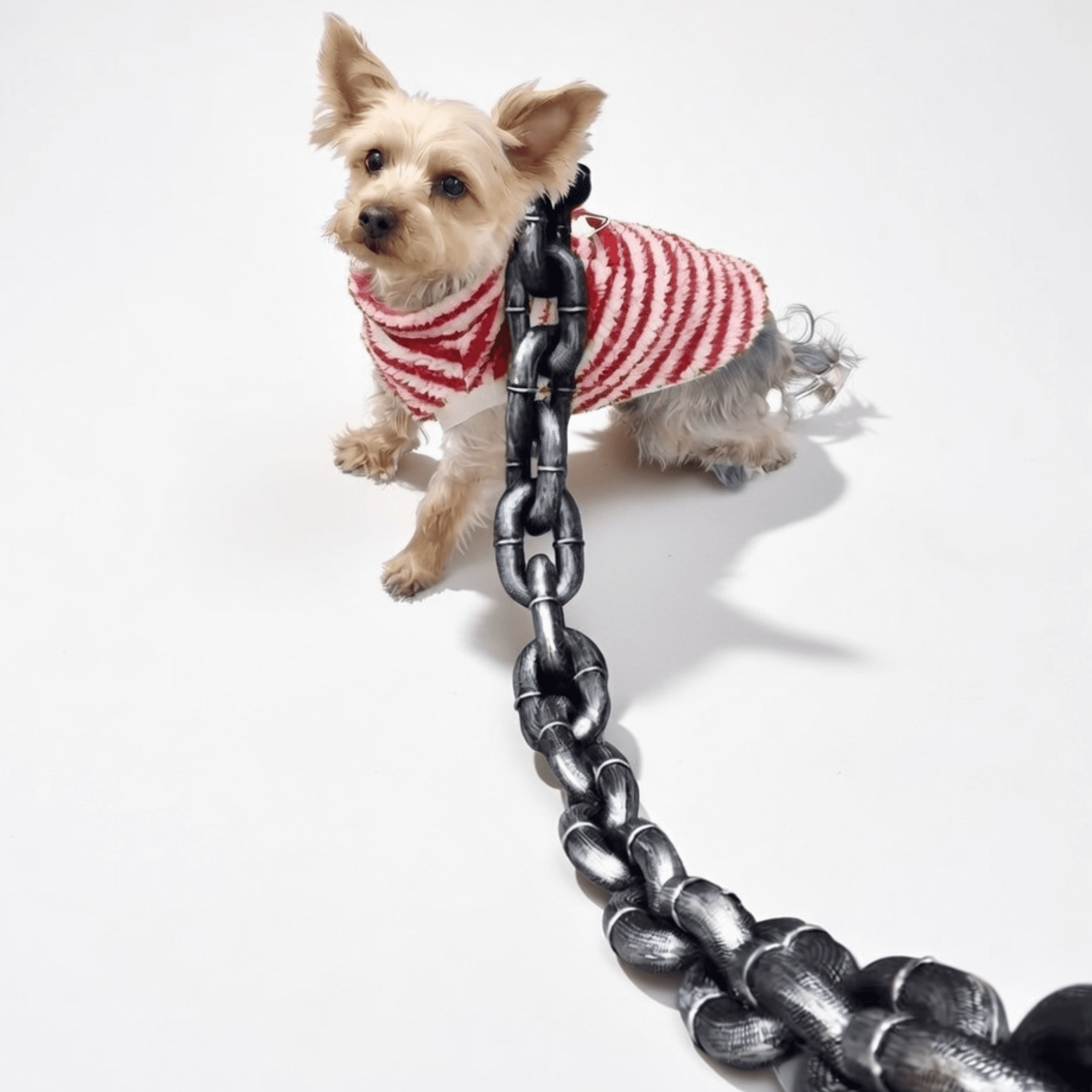 犬用リード 首輪 子犬 犬 中型犬 小型犬 コンパニオンアニマル リード チェーン フェイクチェーン