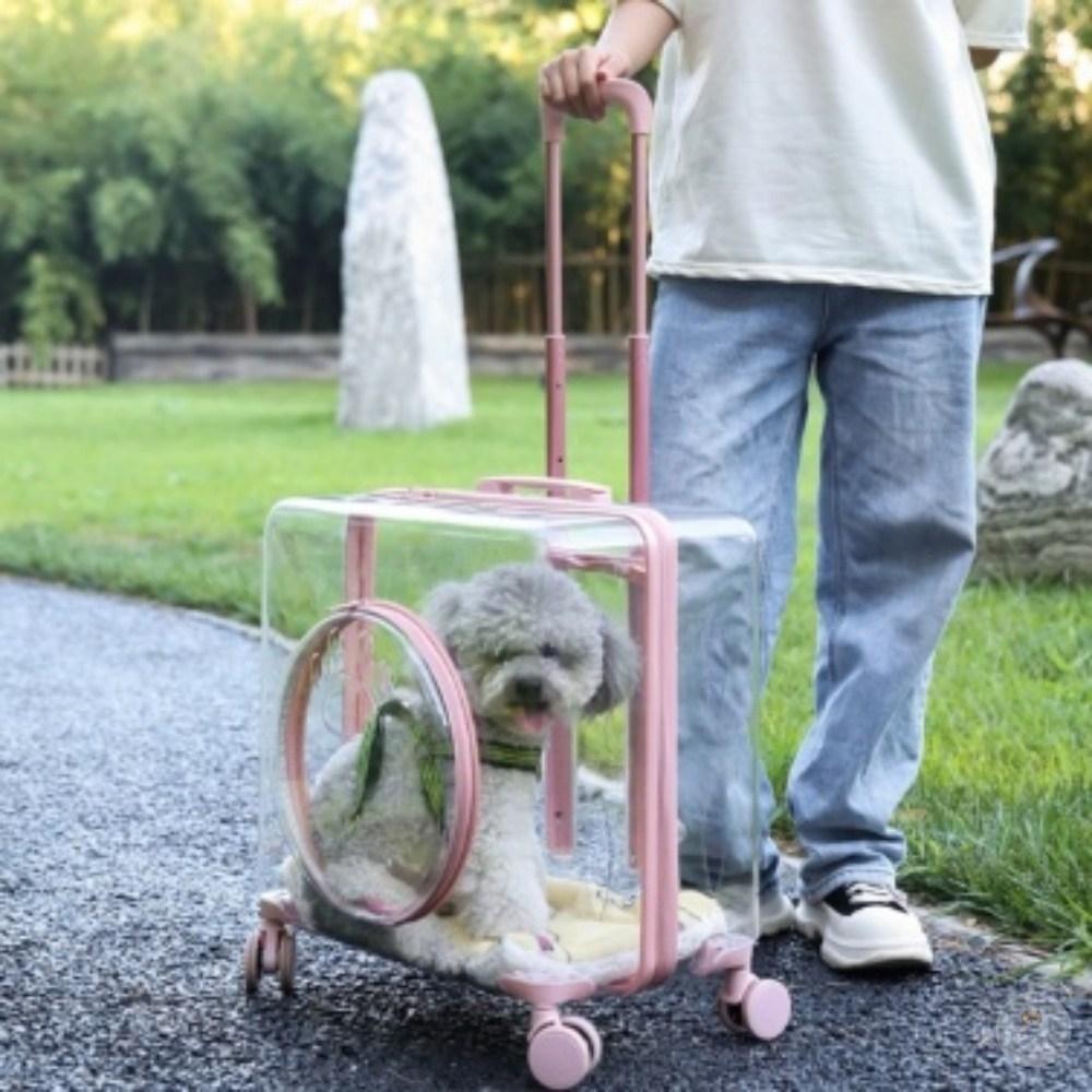 마이펫 투명 캐리어 이동가방06 고양이