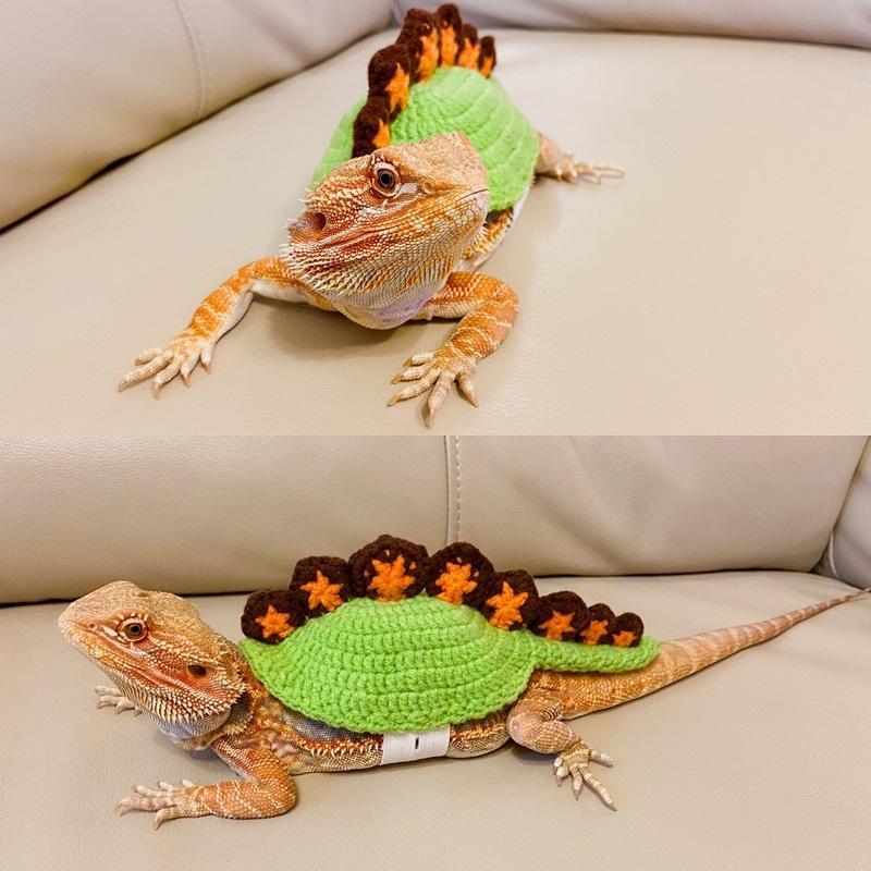トカゲ用服 カメレオン 爬虫類 ハンドメイド 可愛い衣装 アップグレードエディション ソードドラゴン 5-10cm