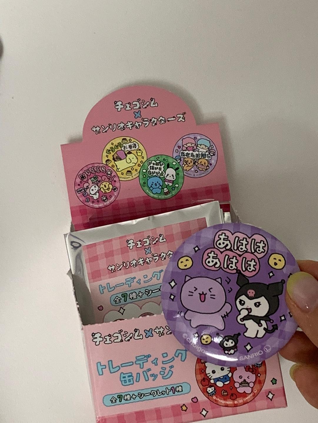 チェゴシム x Sanrio 缶バッジ (ランダム)
