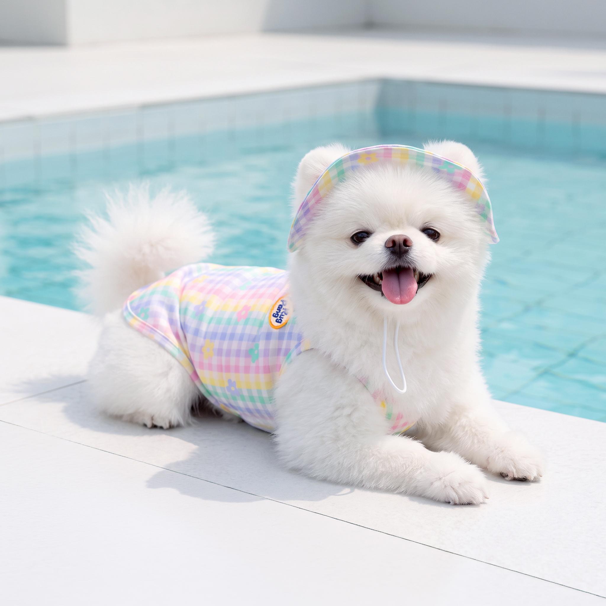 ハグパン 犬 夏服 クーリングウェア 冷感Tシャツ 散歩服 小型犬 中型犬