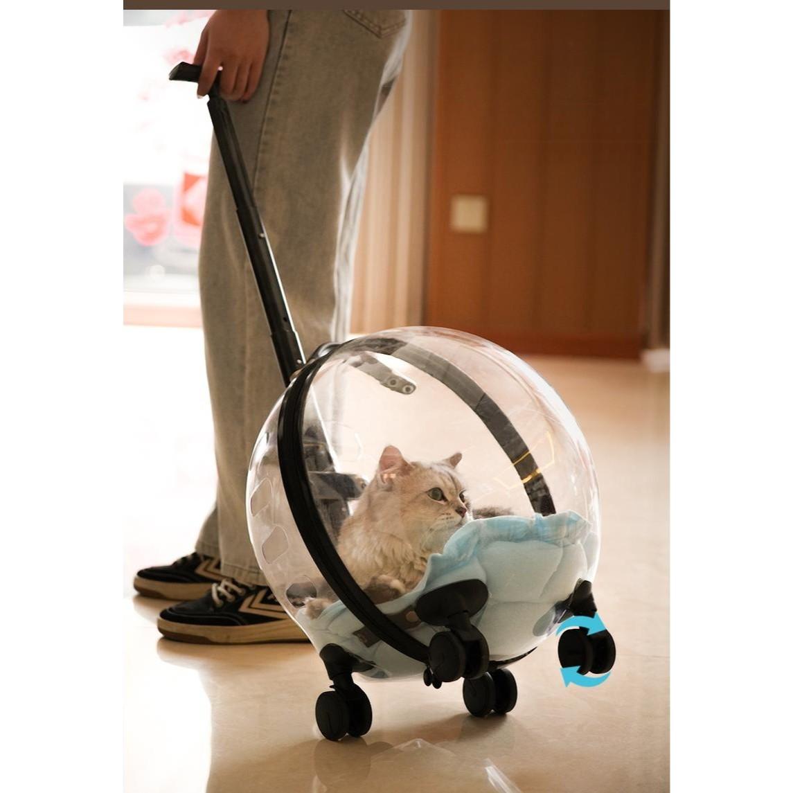 透明キャリーバッグ ペットキャリーバッグ 犬用 外出 猫用